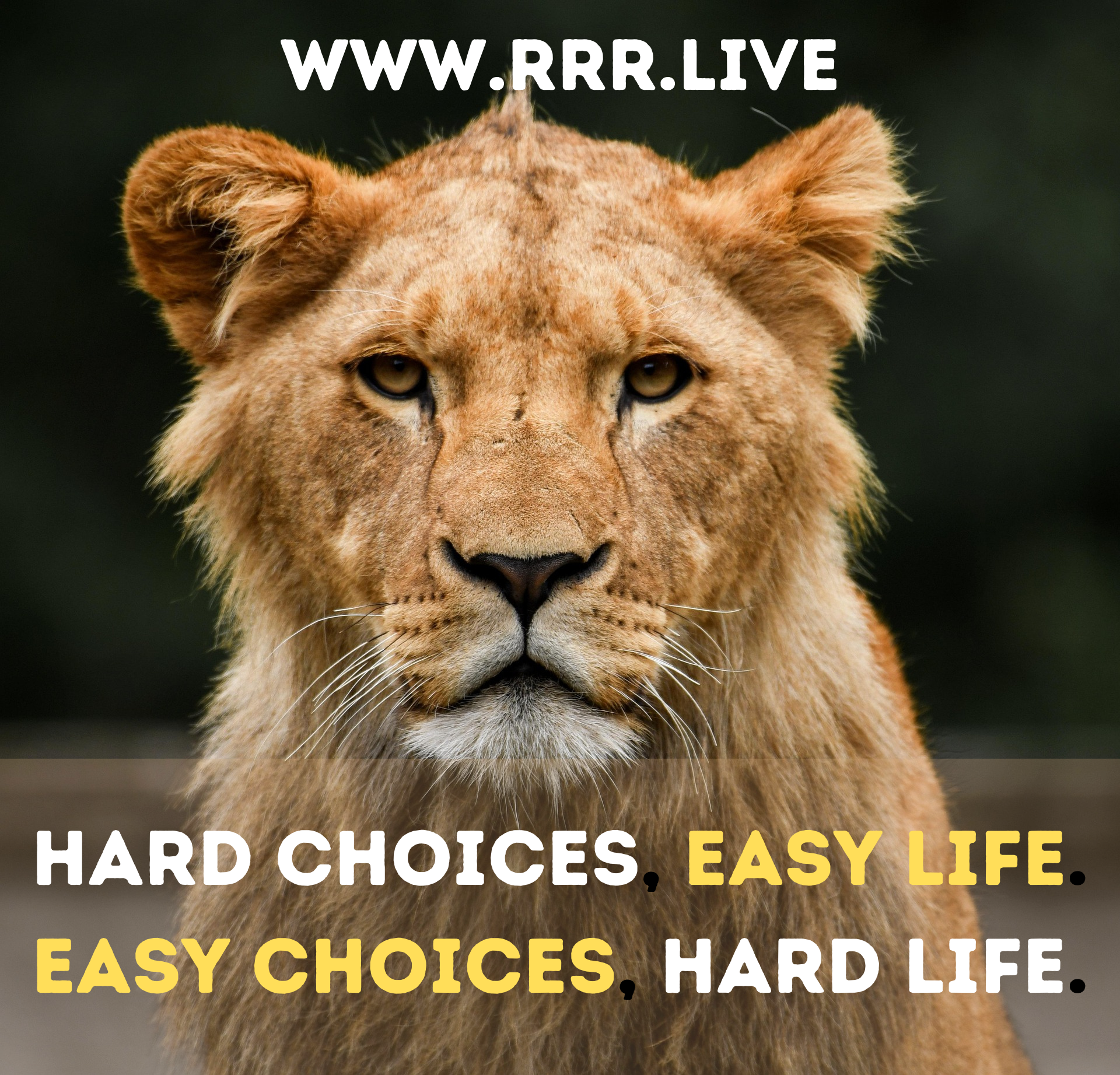 Hard Choices Lead to Easy Lives: The Power of Discipline and Growth