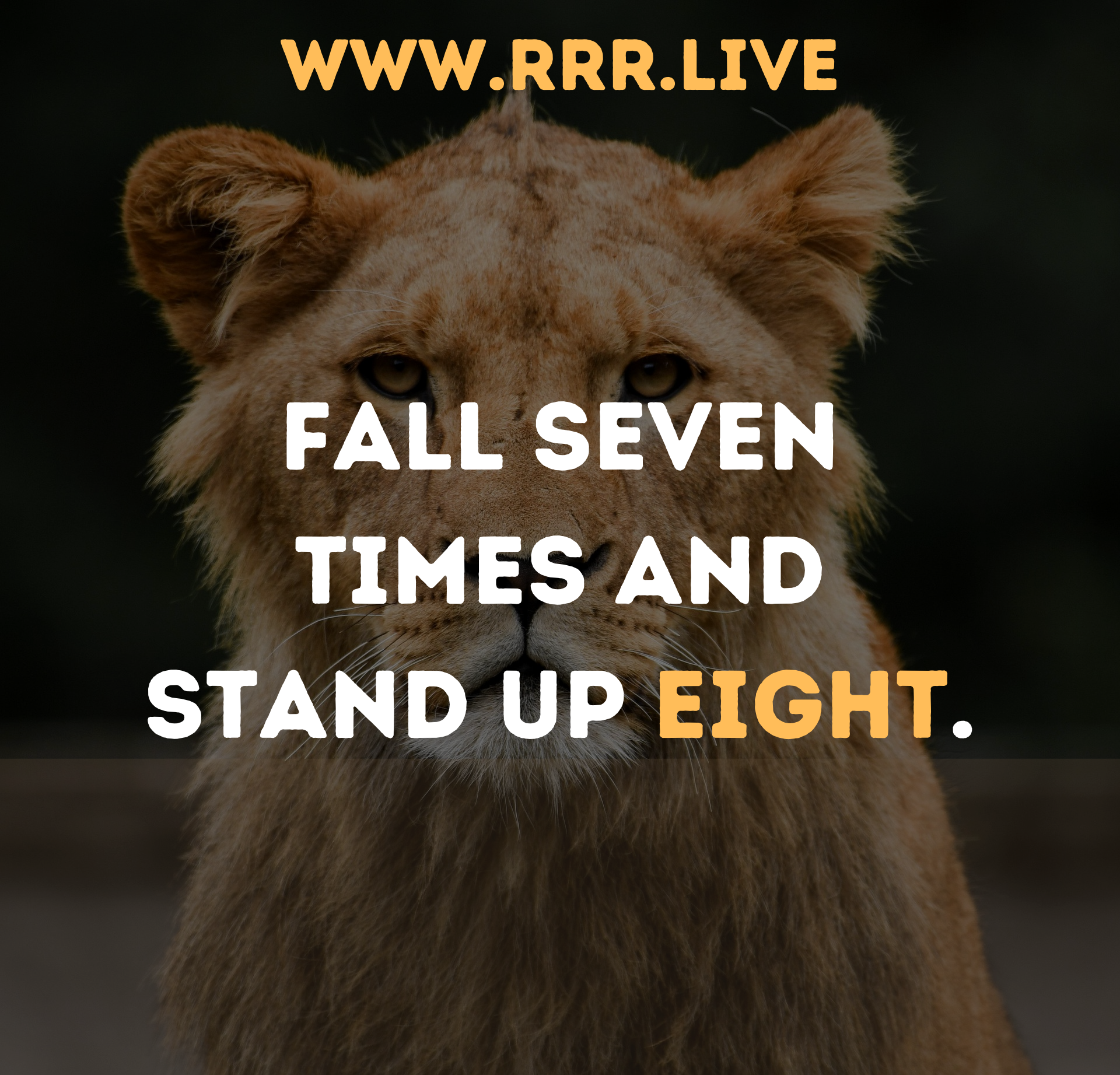 Turning Failures into Fuel: The Power of Getting Up