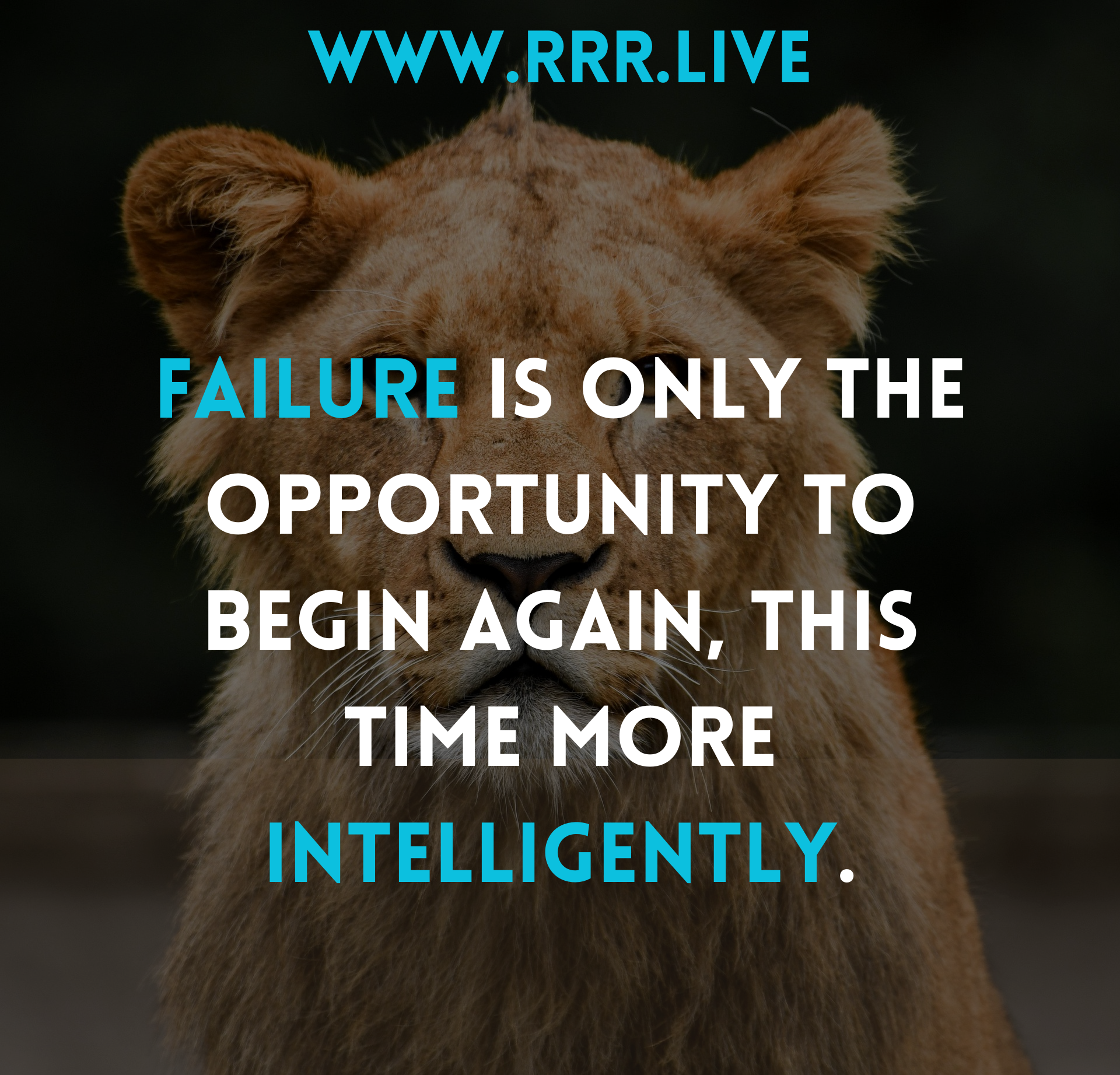 From Loss to Lesson: Turning Every Fall into Growth