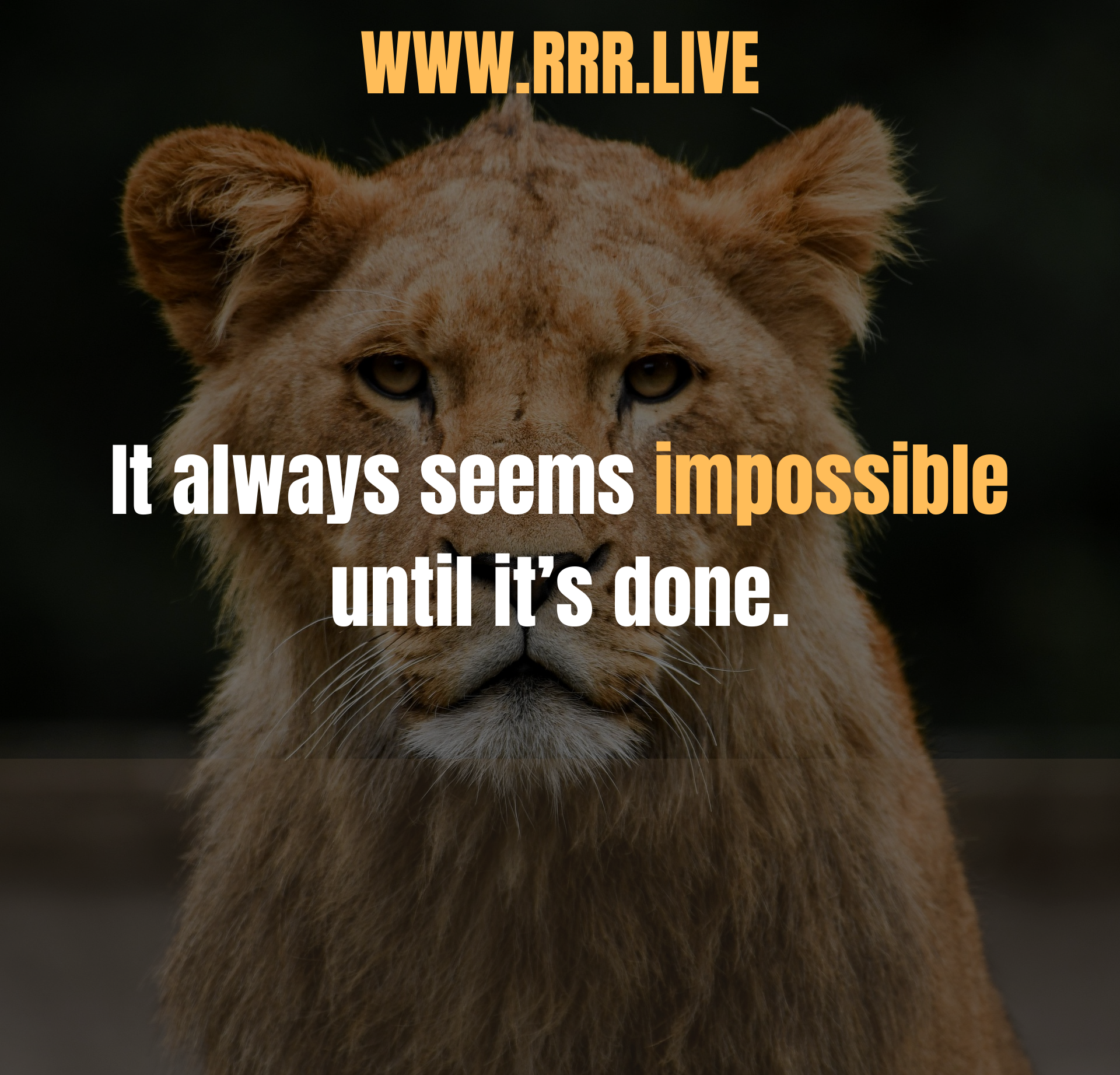 When Vision Becomes Victory: Doing What Can’t Be Done