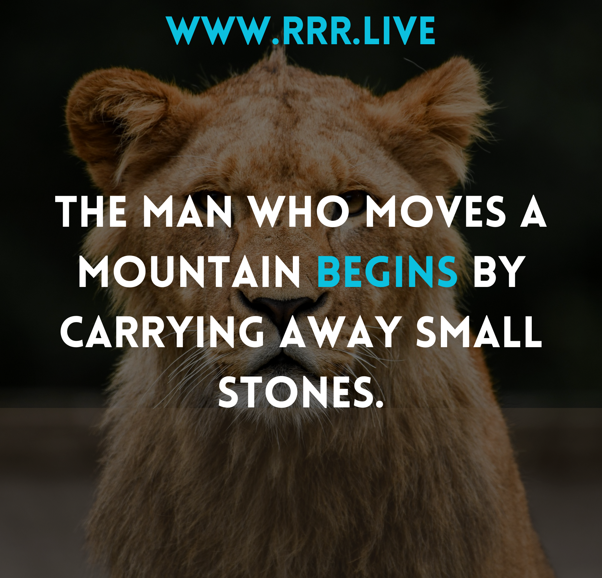 Why Starting Small Can Lead to Monumental Success