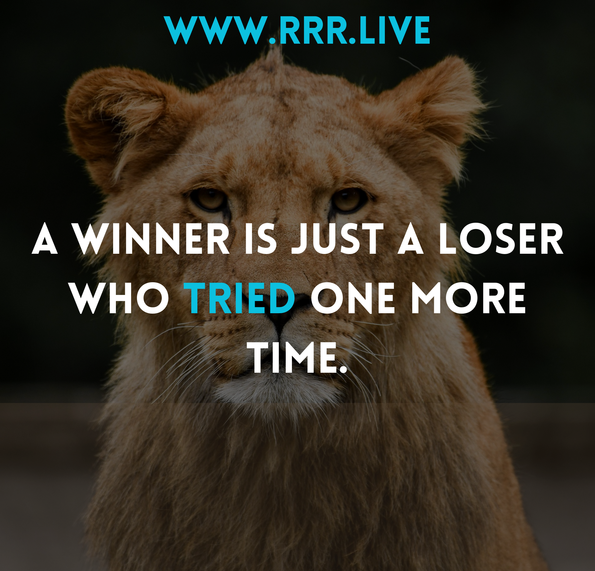 Overcoming Defeat: Success Through Perseverance