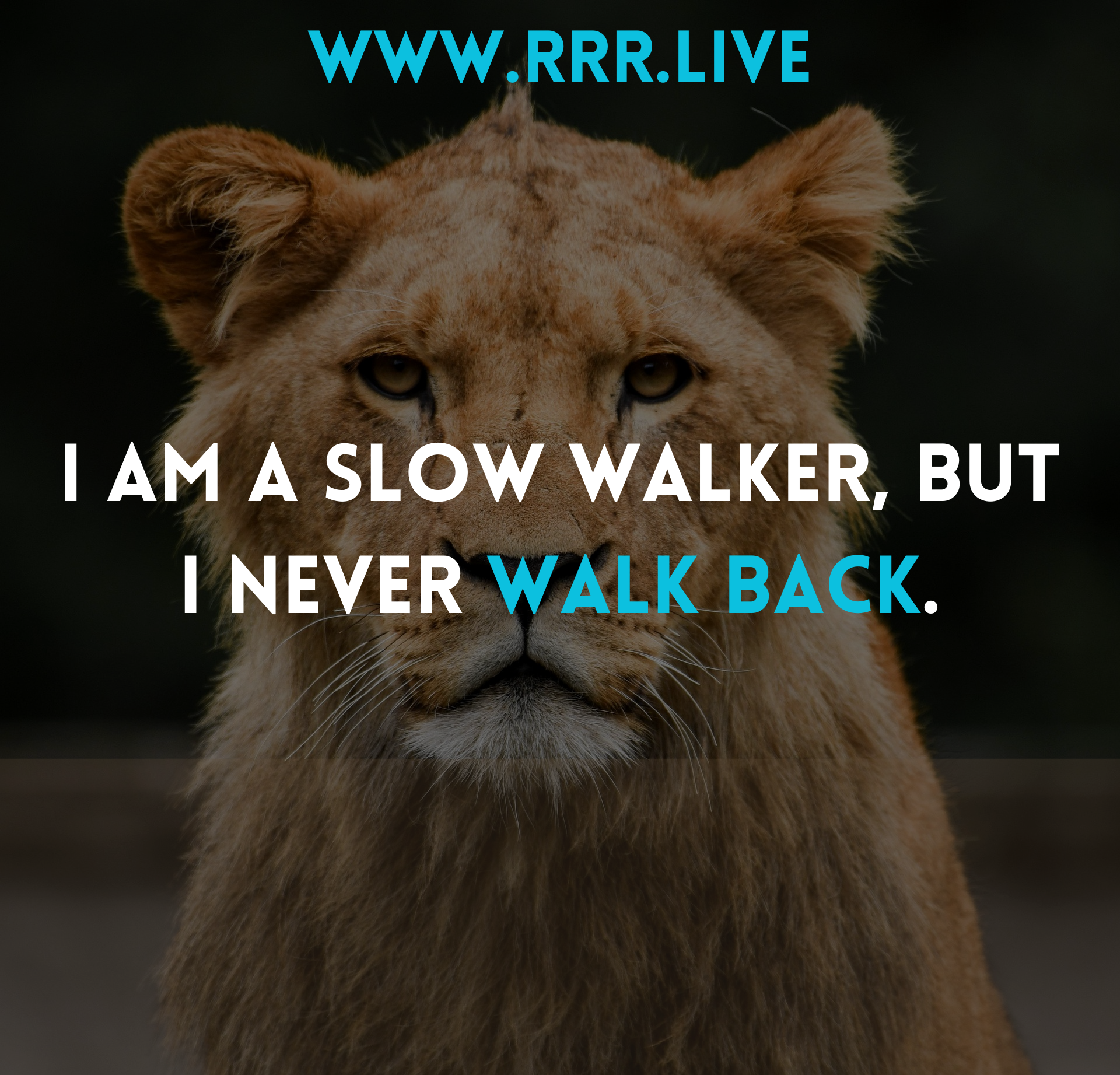 Progress at Your Own Pace: Never Look Back