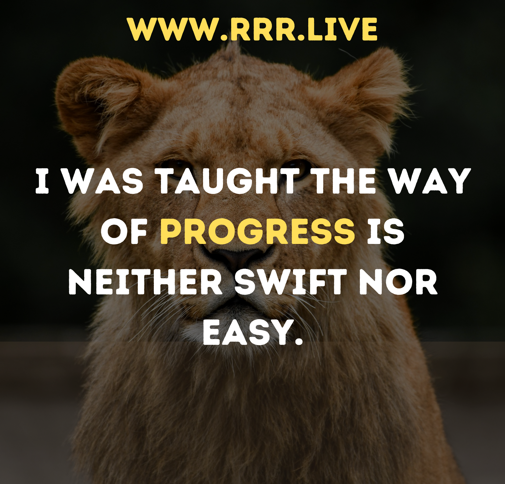 Slow and Steady Wins: The Journey of Improvement