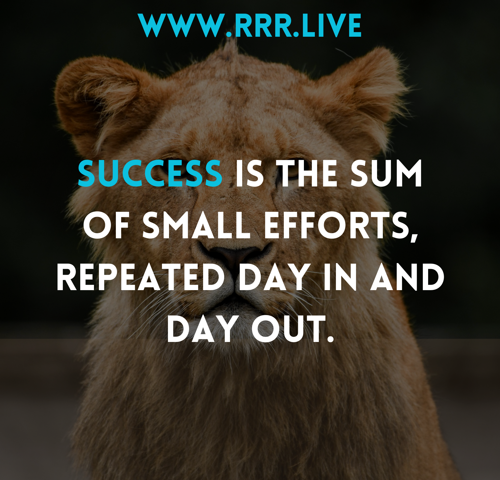 Building Big Success Through Daily Habits