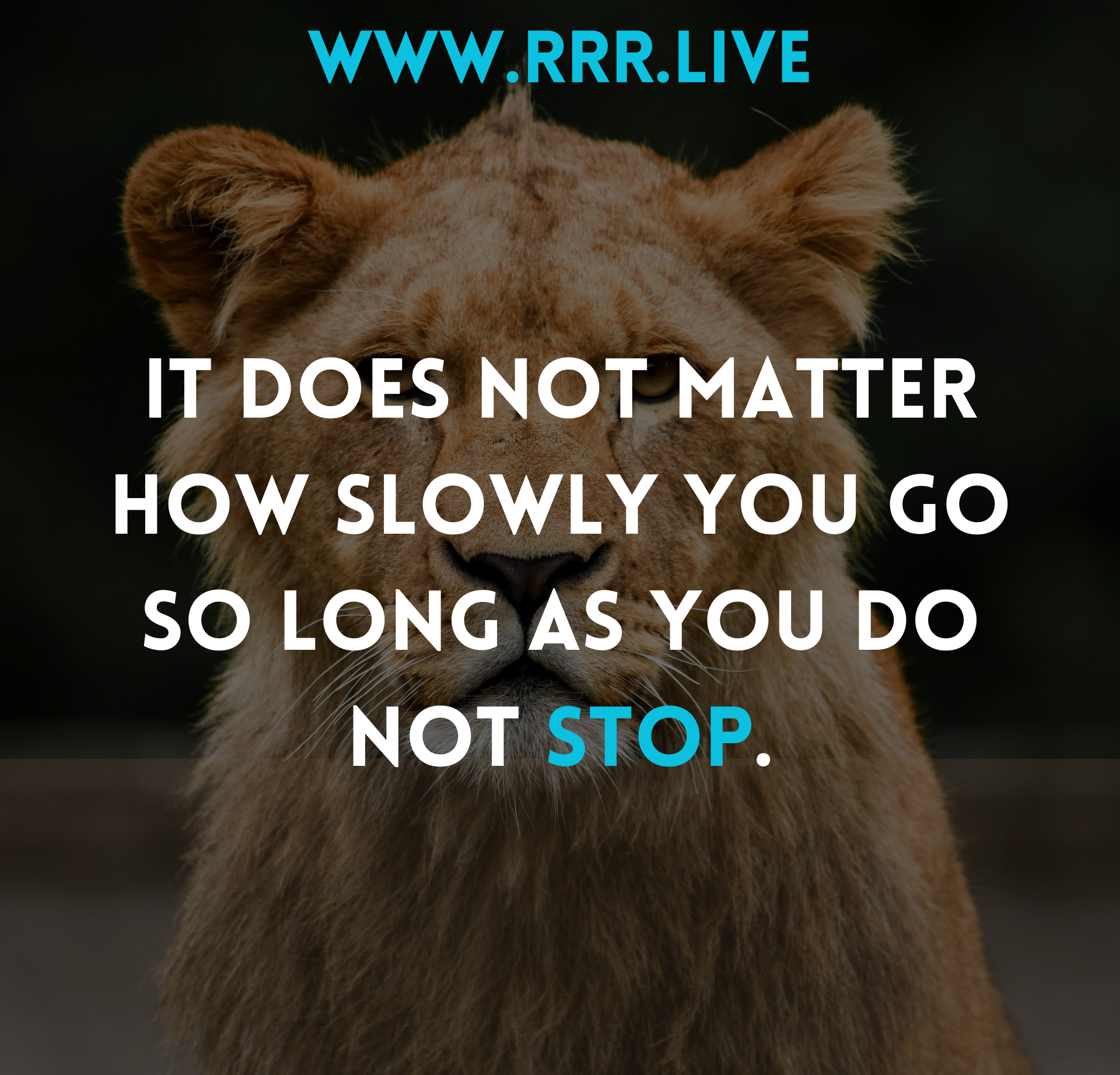 Keep Moving: Overcoming the Fear of Falling Behind