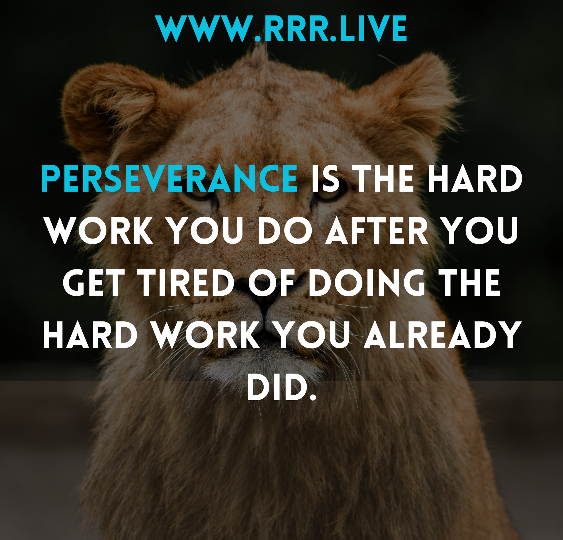 Perseverance: Turning Hard Work into Lasting Success