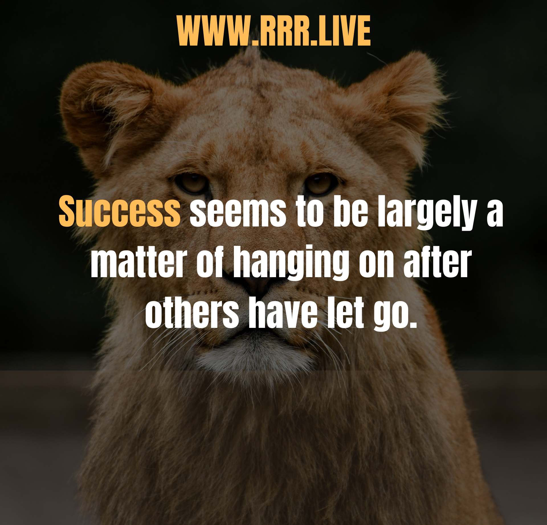 Find a Way or Make One – The Mindset of Champions