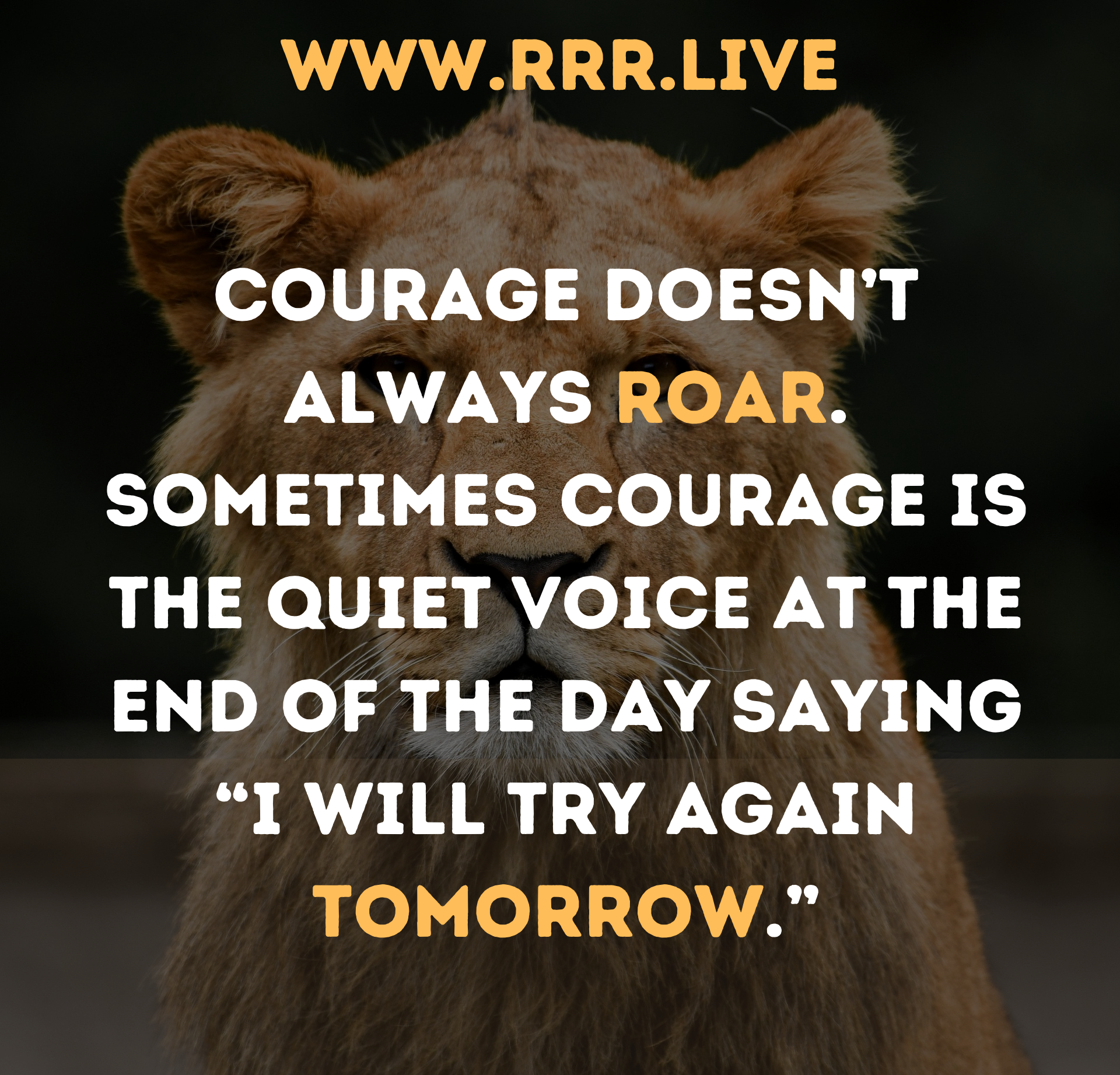 A Whisper of Bravery: Finding Power in Quiet Resolve