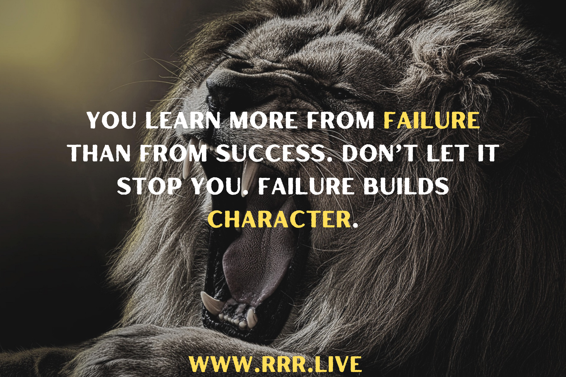 The Lessons Failure Teaches That Success Never Will