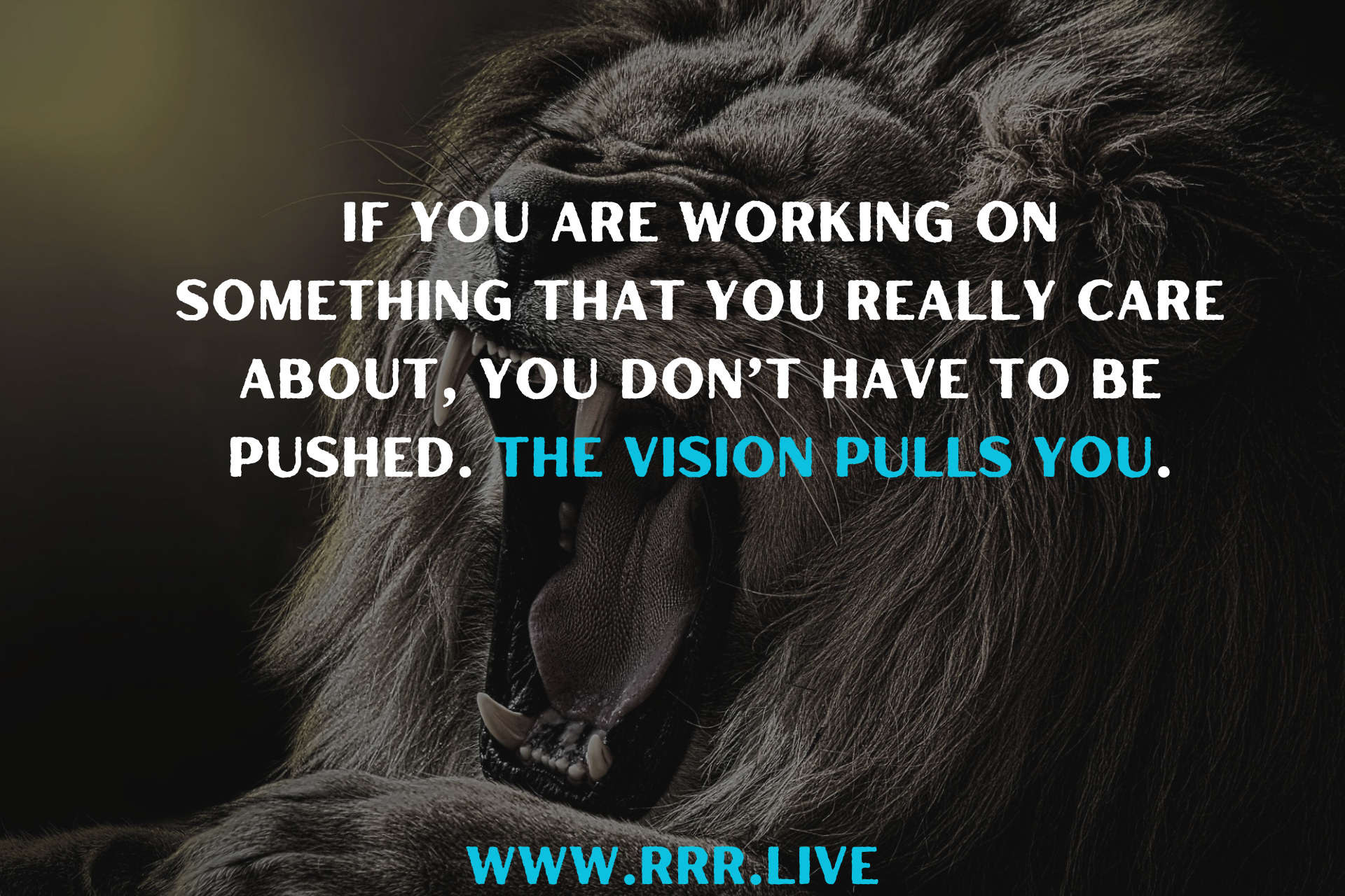 Unlocking the Energy to Chase Your Dreams Relentlessly