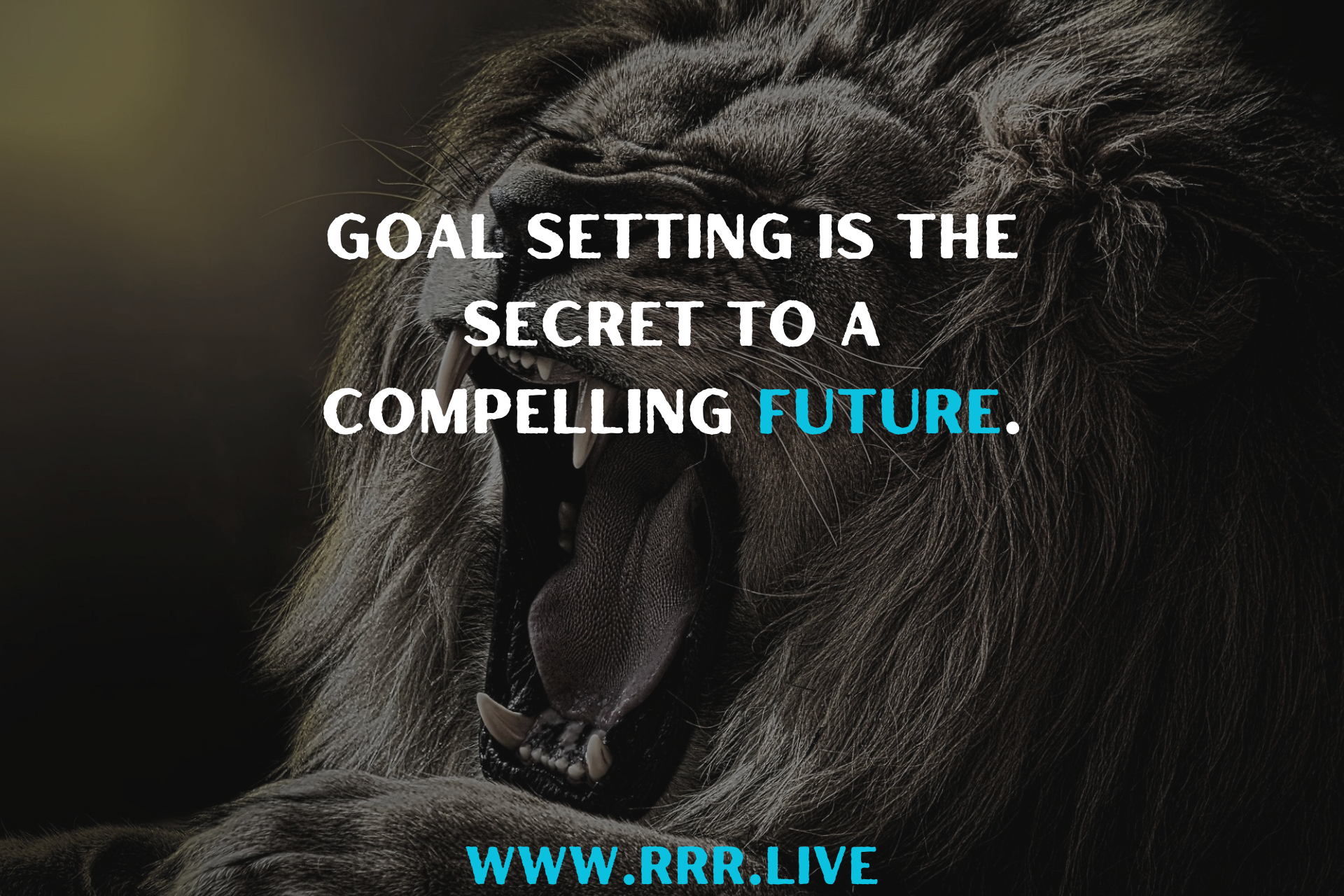 Planning Your Future: The Roadmap to Achievement