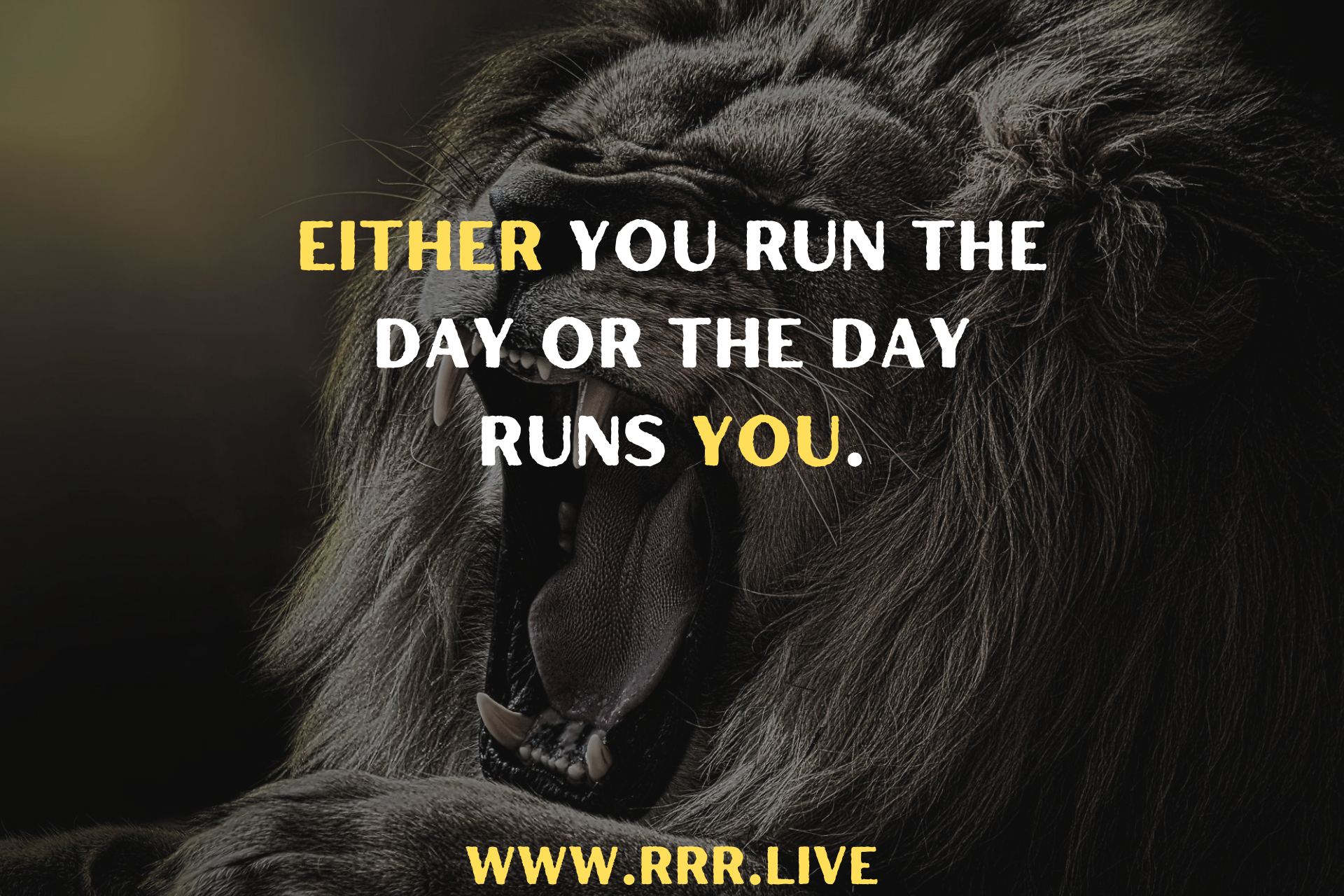 How to Structure Your Day for Maximum Success