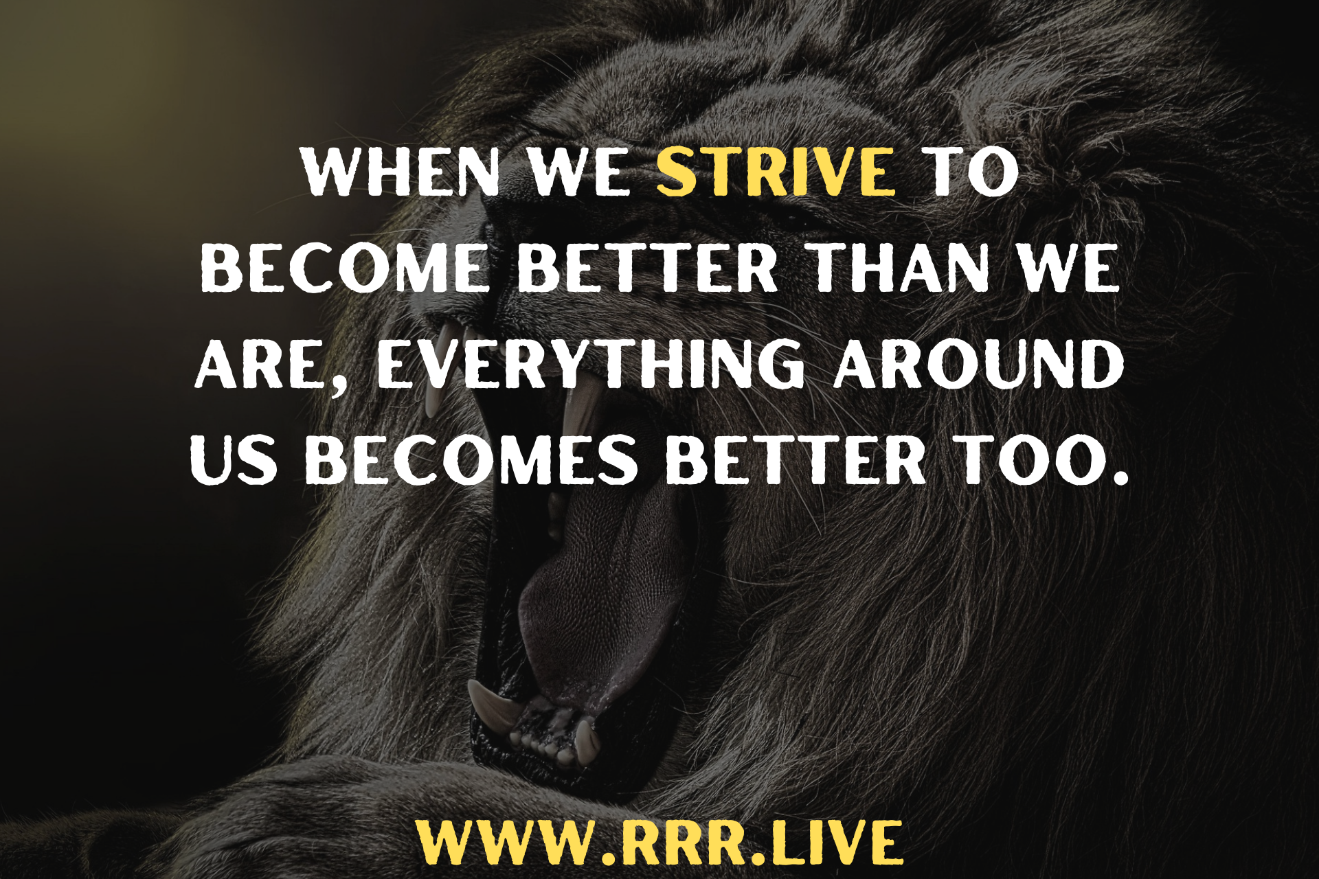 How Personal Growth Elevates Everything Around You