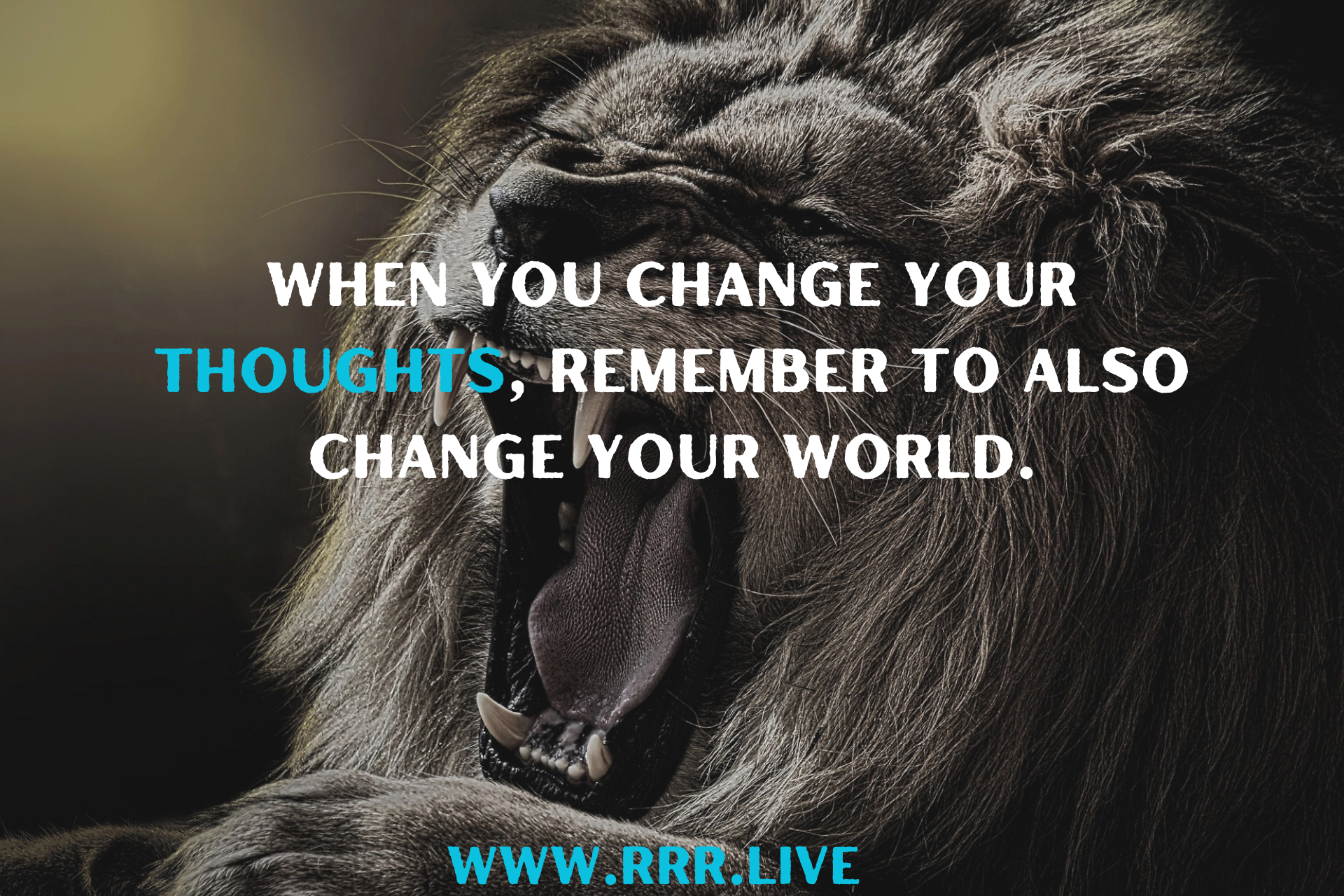 Changing Your Perspective, Changing Your Life