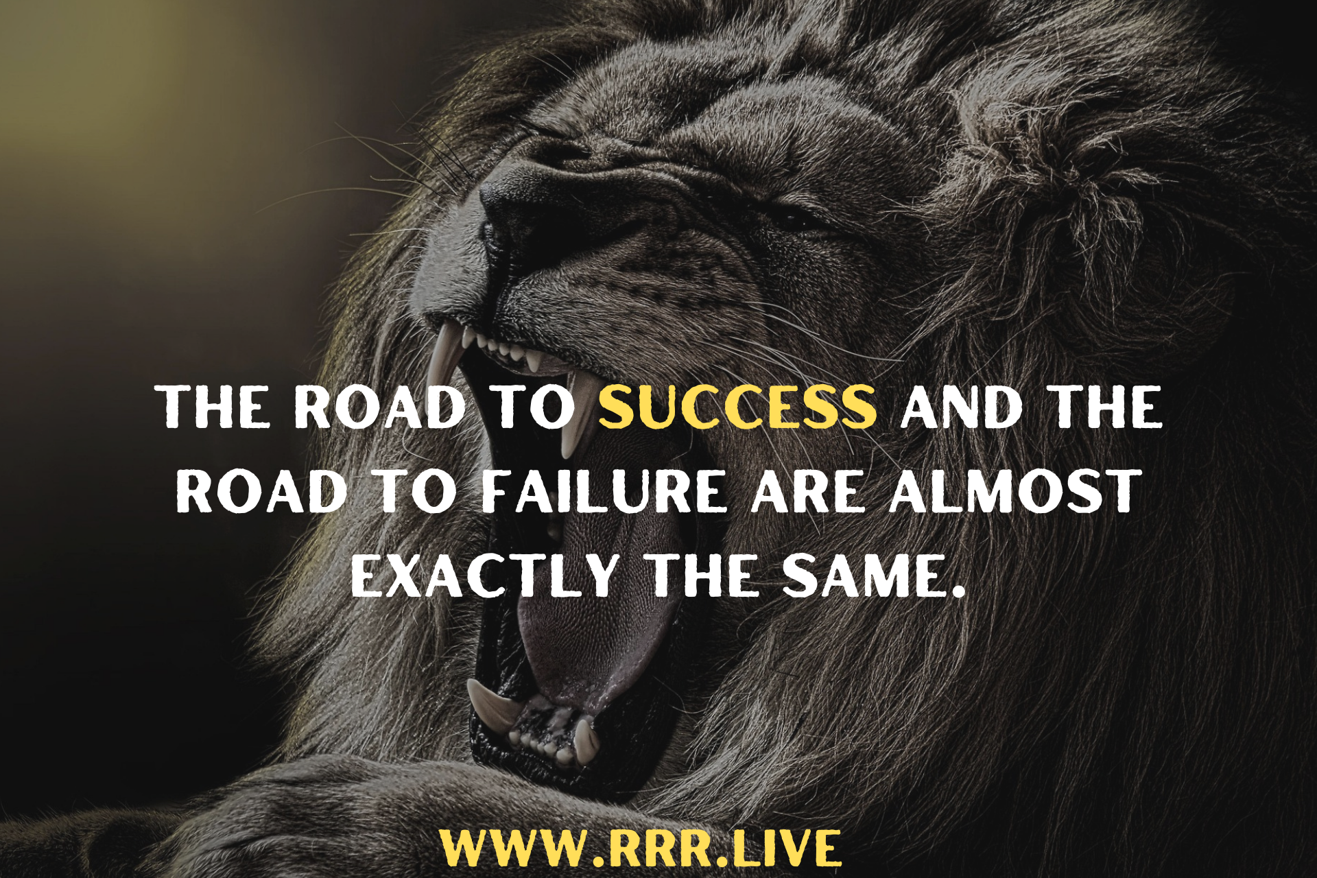 Navigating the Crossroads of Success and Failure