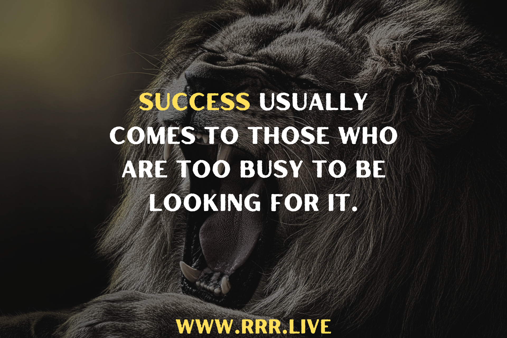 Why Success Finds the Hustlers, Not the Dreamers