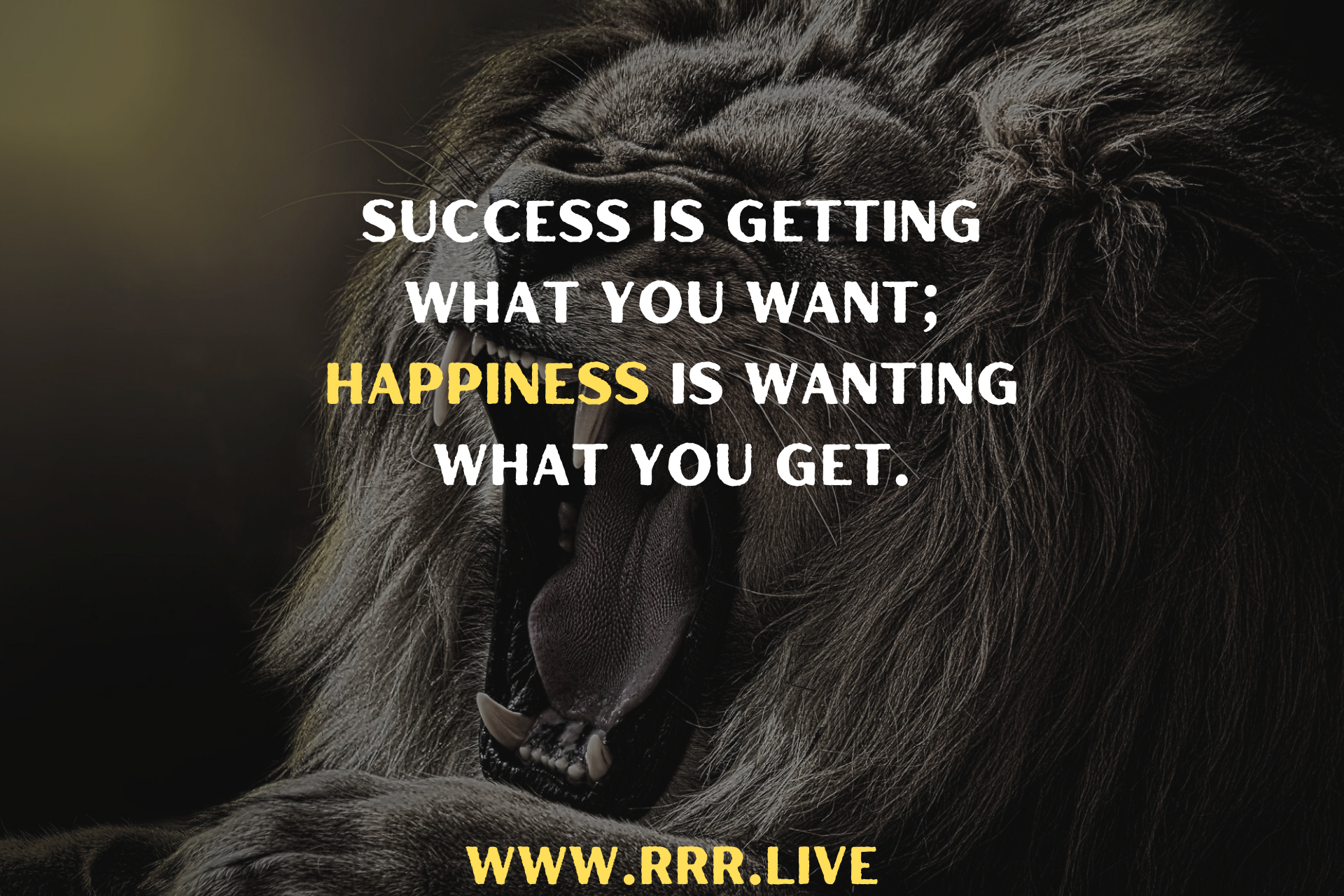 Chasing Success vs. Finding Contentment