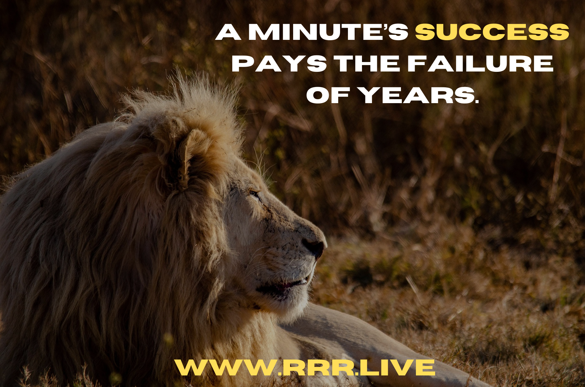 Success: The Reward for Years of Effort