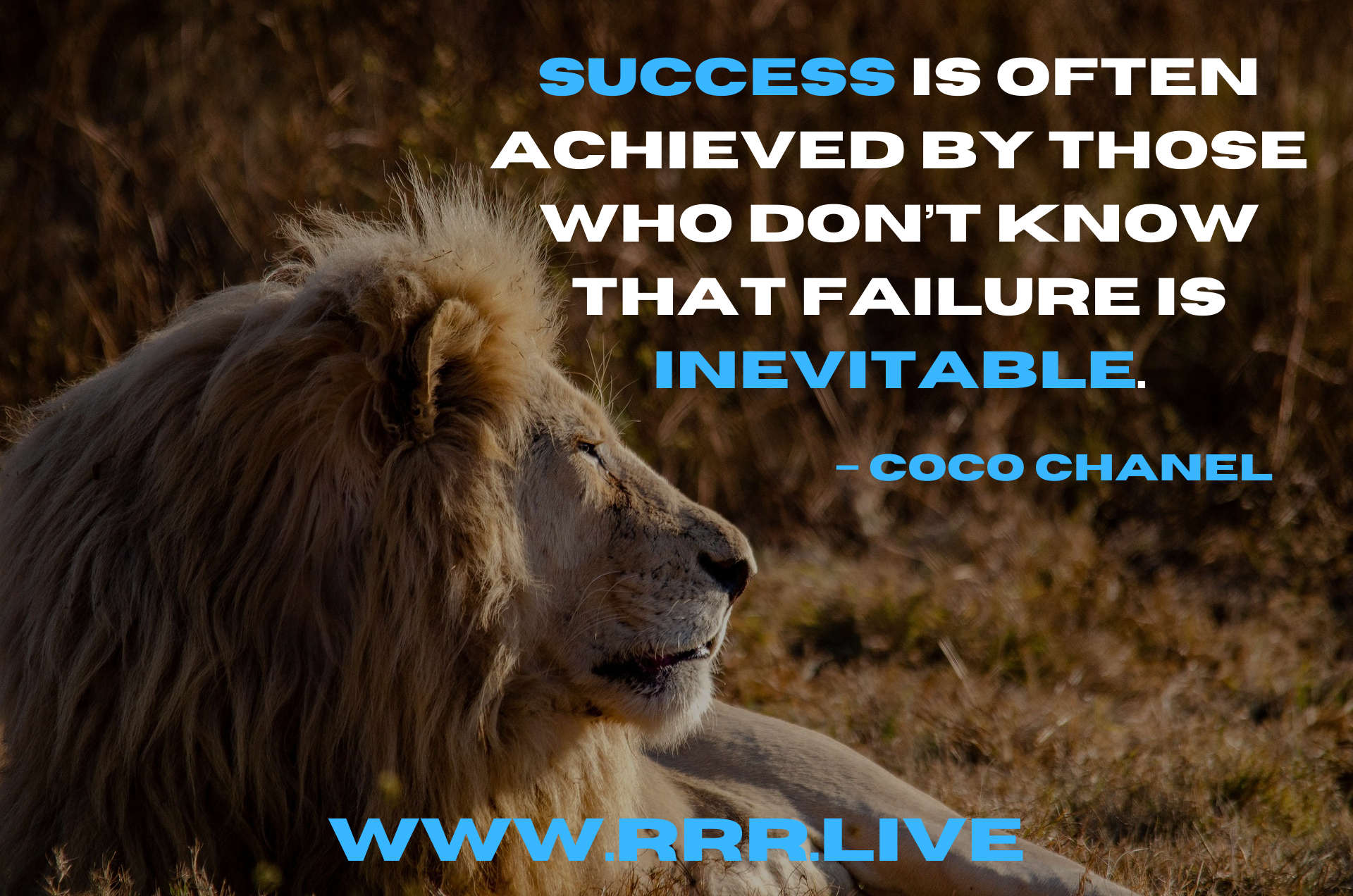 The Power of Ignoring Doubt and Taking Action