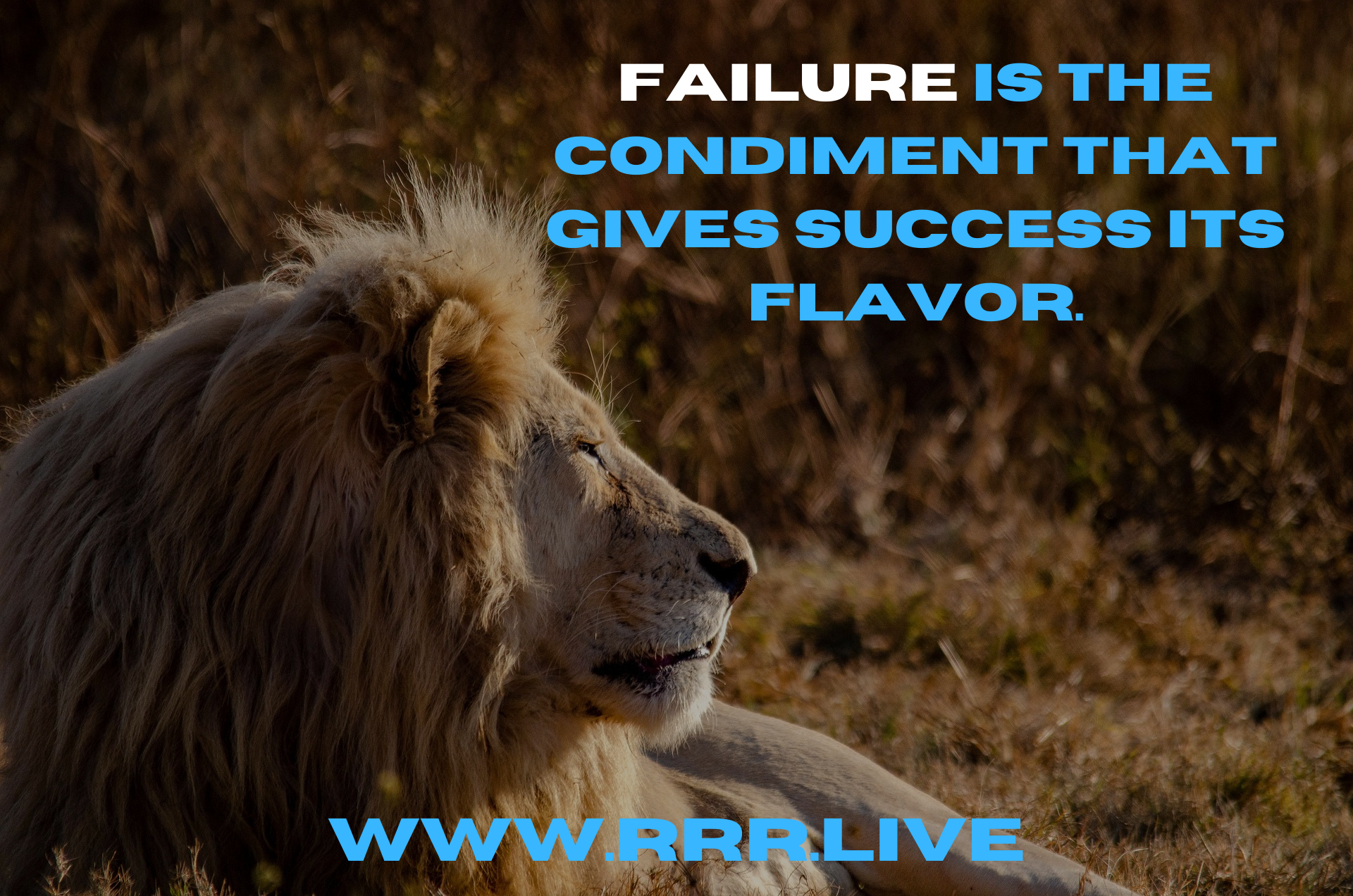 Embracing Failure for a Flavorful Success