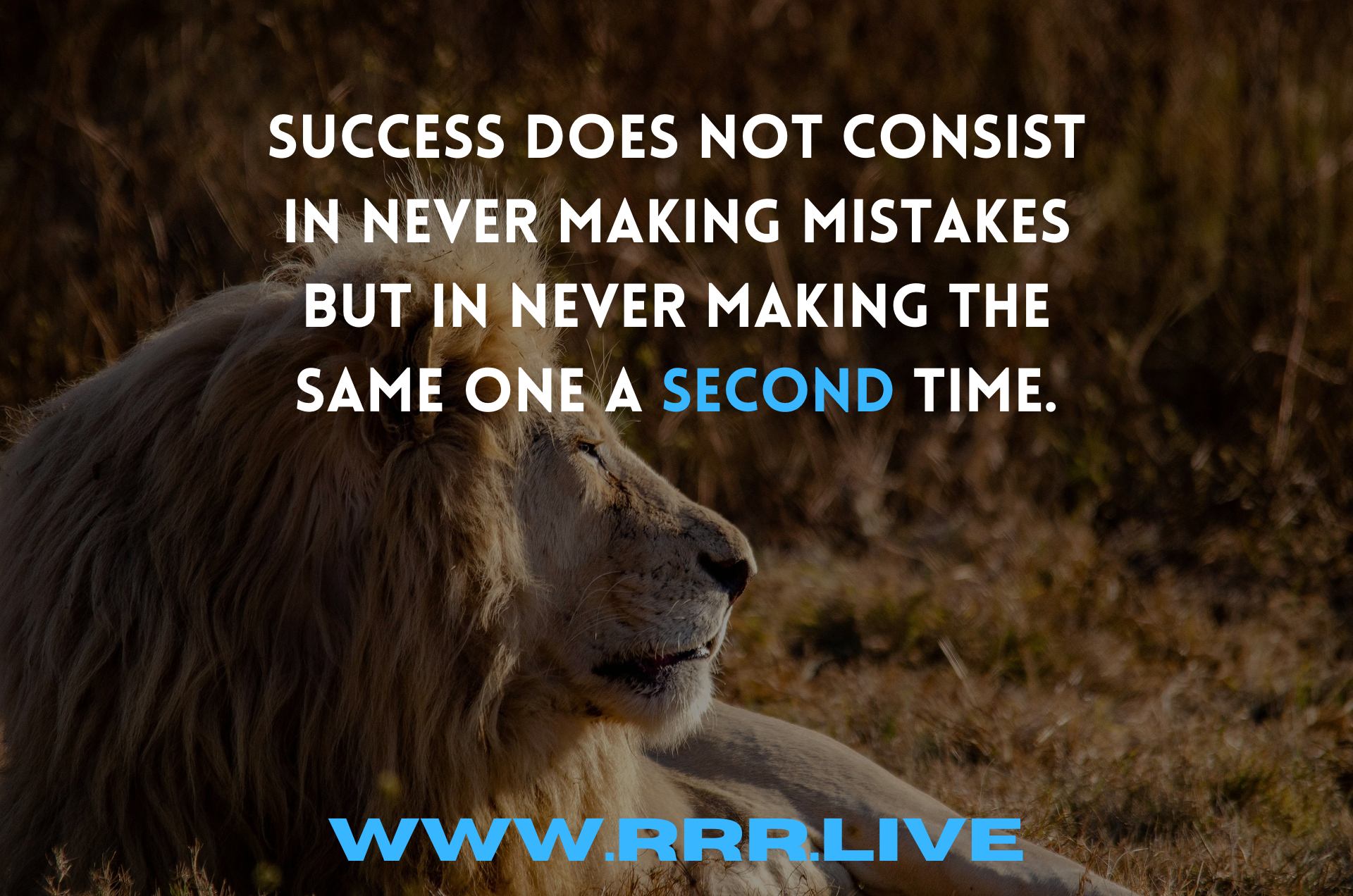 Elevating Success One Misstep at a Time